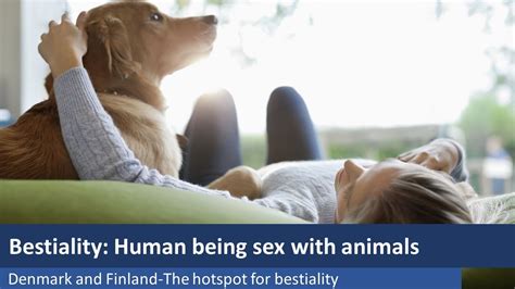 animal blowjob|Blowjob. Animal porn videos and bestiality movies for free!..